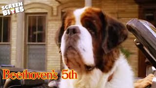 Beethovens 5th 2003  Official Trailer  Screen Bites [upl. by Bayly109]