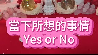 【塔羅牌占卜】當下所想的事情，Yes or No？ [upl. by Sezen464]