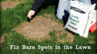 How To Seed And Repair Bare Spots in the Lawn [upl. by Elrak]