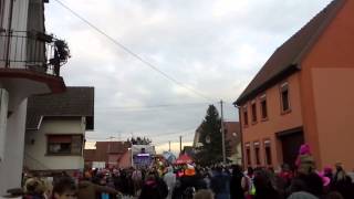 Nature one carnaval a Roppenheim 2015 [upl. by Quackenbush]