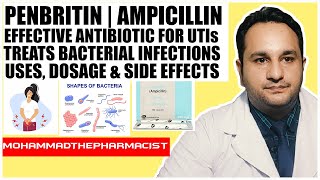 Penbritin Ampicillin Effective Antibiotic for UTIs amp Bacterial Infections  Dosage amp Side Effects [upl. by Latsyrc]