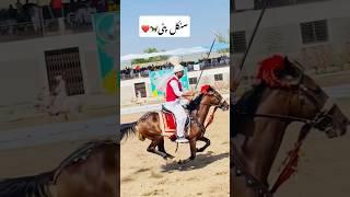 Tent pegging Epi 68 championship rider shortvideo pakistan viralvideo horse tentpegging [upl. by Leirum706]