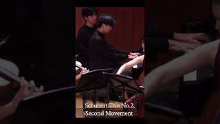 An excerpt of Schuberts ghostly second movement Trio No2 [upl. by Whalen]