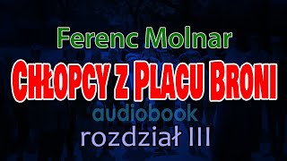 Chłopcy z Placu Broni Ferenc Molnar  audiobook PL  rozdział 310 [upl. by Anirret]