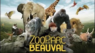 Zoo de Beauval 2023 [upl. by Leann]