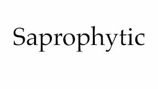 How to Pronounce Saprophytic [upl. by Davie]