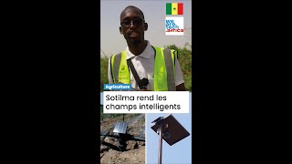 🌾📱 Sotilma  LAppareil qui Connecte les Champs et Révolutionne lAgriculture au Sénégal  🇸🇳🚀 [upl. by Edmon]