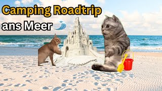 Katzen Memes Camping Roadtrip ans Meer katzenmemes catmeme katzenmeme [upl. by Melentha]