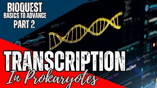 Transcription in Prokaryotes  Part 2  Transcription  CSIR NET December 2024  Basics to Advance [upl. by Calvina576]