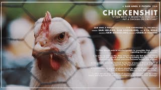 CHICKENSHIT 2018  Short Film w Directors Foreword [upl. by Shulem605]