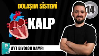 AYT Biyoloji Kampı  14 GÜN  Kalp  yks2025 [upl. by Buseck]