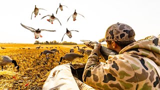 DUCK HUNTING CANADA  AN ORIGINAL FILM [upl. by Nirad]