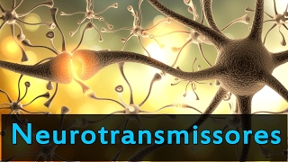 Neurotransmissores e suas Funções [upl. by Hutchins]