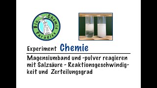 Experiment Chemie – Magnesium und Salzsäure – Reaktionsgeschwindigkeit und Zerteilungsgrad [upl. by Teufert]