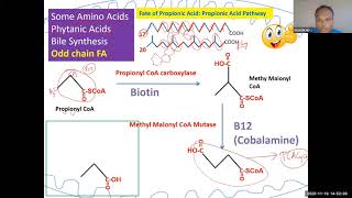 lipid 59 Propionic acid pathway High yield for USMLE step 1 [upl. by Tristan486]