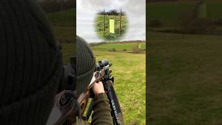 The Silent Assassin 22LR Vs 100 Yard Steel Gong [upl. by Idell]