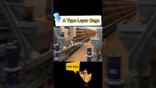 Egg Farming BusinessModern Layer Poultry Farm Cage Design  RETECH Farming [upl. by Eseuqcaj]