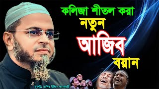 কলিজা শীতল করা নতুন বয়ান।। mufti nasir uddin ansari ।। মুফতি নাসির উদ্দিন আনসারী নতুন ওয়াজ [upl. by Xineohp]