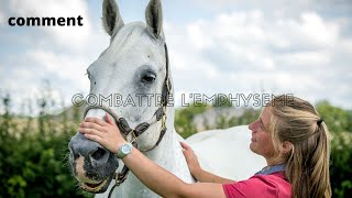 Maladie comment combattre lemphysème chez le cheval  😢 [upl. by Nalra]