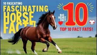 10 Incredible Horse Facts You Didnt Know [upl. by Namurt7]