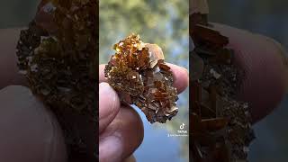 Wulfenite flowergemstone fineminerals wulfenite mineralspecimen [upl. by Abelard]