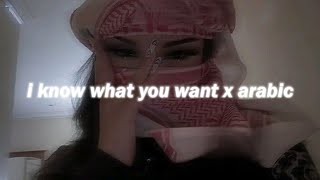 i know what you want x ريمكس شيرين صبرى قليل tiktok song [upl. by Pazia388]