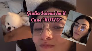 Giulia Salemi ha il cane quotROTTOquot😂😂❤️ [upl. by Airemahs]