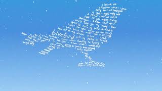 Colin Vincent  bluebird official lyric video [upl. by Aver]