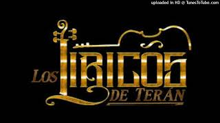 LOS LIRICOS DE TERAN Cumbias [upl. by Ablem]