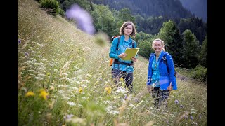 Video Trockenwiesen und weiden [upl. by Ebbie]