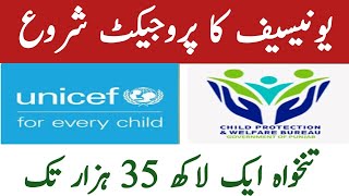 UNICEF Funded Project Jobs 2024  Child Protection Bureau Punjab Government jobs 2024 [upl. by Vilberg189]