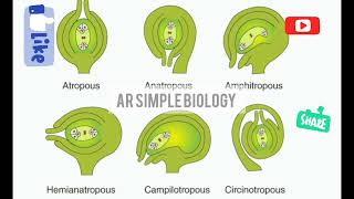 types of ovule [upl. by Boiney561]