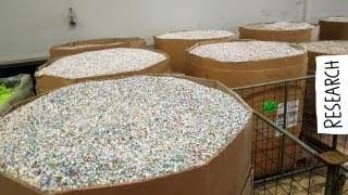 Company visit  Plastic Shredding [upl. by Laurent]