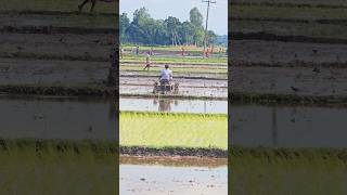 Agriculture  shots [upl. by Tterrab]