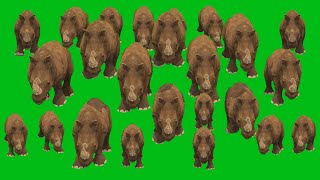 Rhinoceros and Baby Running Green Screen Blue Screen Black Screen HD Green Screen Video [upl. by Kcinemod]