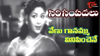 Sirisampadalu Movie  Venu Ganammu Song  ANRSavitri  Old Telugu Songs [upl. by Lamrouex]