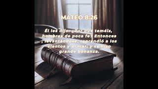 PROMESAS DE DIOS MATEO 826 enseñanza ensenanzabiblica palabradedios [upl. by Goodill917]