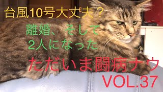 VOL37 なかなか上手く行かなくて、この度、離婚致しました！パチンコも返金しました、ドパミンは自分の戦利品！！！ [upl. by Rashidi52]