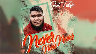 Josh Tatofi  Never Never Never Audio [upl. by Ardnossak420]