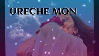 URECHE MON lofislowedReverb Bengali song 2024Benglavibes [upl. by Annay145]