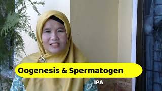 Oogenesis amp Spermatogenesis [upl. by Eirena]