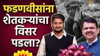 Onion Export Ban  कांदा निर्यात बंदीबाबत फडणवीसगोयलांच्या भेटीचं पुढे काय झालं  ॲग्रोवन [upl. by Elbag]