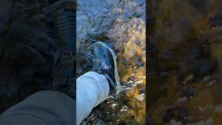 Testing Korkers PFS 3 wading boots gearreview korkers riverfishing newyorksalmonfishing [upl. by Stillman]