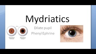 Ophthalmology 580 Mydriatic Dilate Pupil PhenylEphrine Tropicamide Mydriasis Eye drop fundoscopy [upl. by Siegfried]