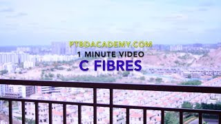 C Fibres  1 Minute Video [upl. by Hanej695]