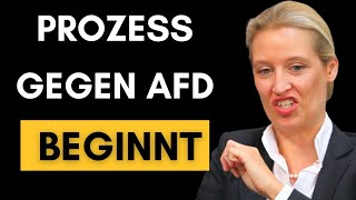 Gerichtprozess JETZT will Haldenwang die AfD VERNICHTEN [upl. by Schubert698]