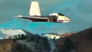 HUGE Foam RC Delta Jet [upl. by Wallis878]