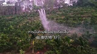 Hainan Betel Nut Aerial Pest Control agri fyp drone viral [upl. by Rihana]