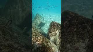 Snorkel Spots in Cancún [upl. by Cordie]