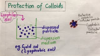 Protection of Colloids amp Gold Number [upl. by Yantruoc9]